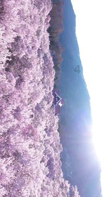 趣语说药 | 异维A酸(附音频)
