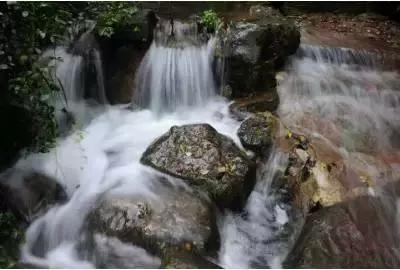 “马树山案”的喜与忧