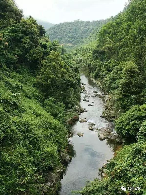 趣味沙滩球