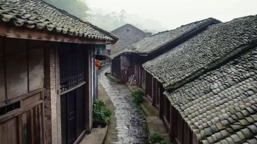 刘亚仁揭秘吸D真相,网友震怒!多种D品检测曝光