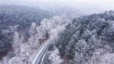 为什么主播们如张大仙不去参加KPL?游戏画面